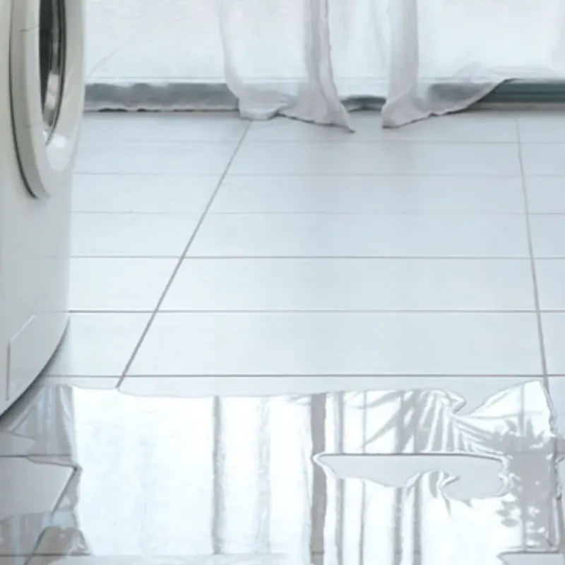 Appliance Leak Cleanup in McKenzie County, ND