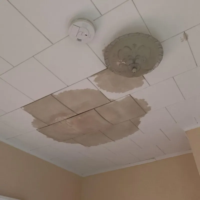 Ceiling Water Damage Repair in McKenzie County, ND