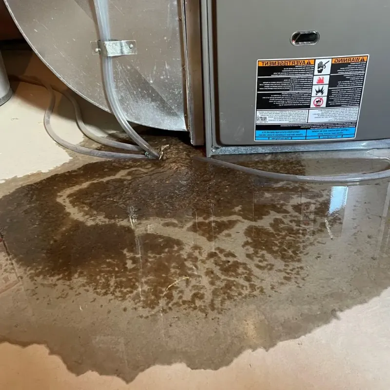 Pipe Burst and Leak Restoration in McKenzie County, ND