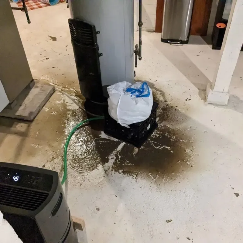 Sewage Backup Cleanup Service in McKenzie County, ND